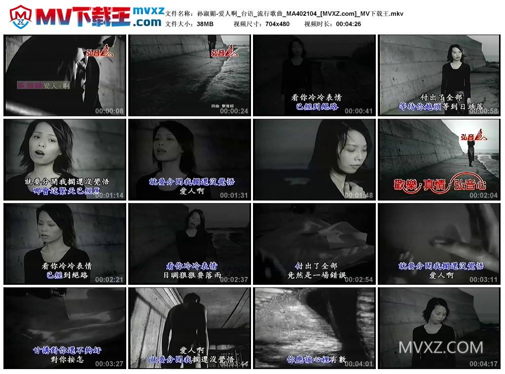 孙淑媚-爱人啊_台语_流行歌曲_MA402104